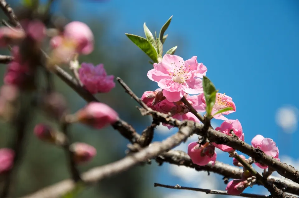 f:id:nmy:20120407152031j:plain