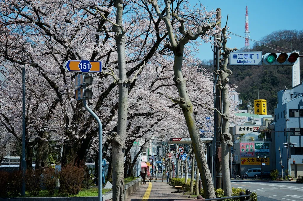 f:id:nmy:20120408133544j:plain