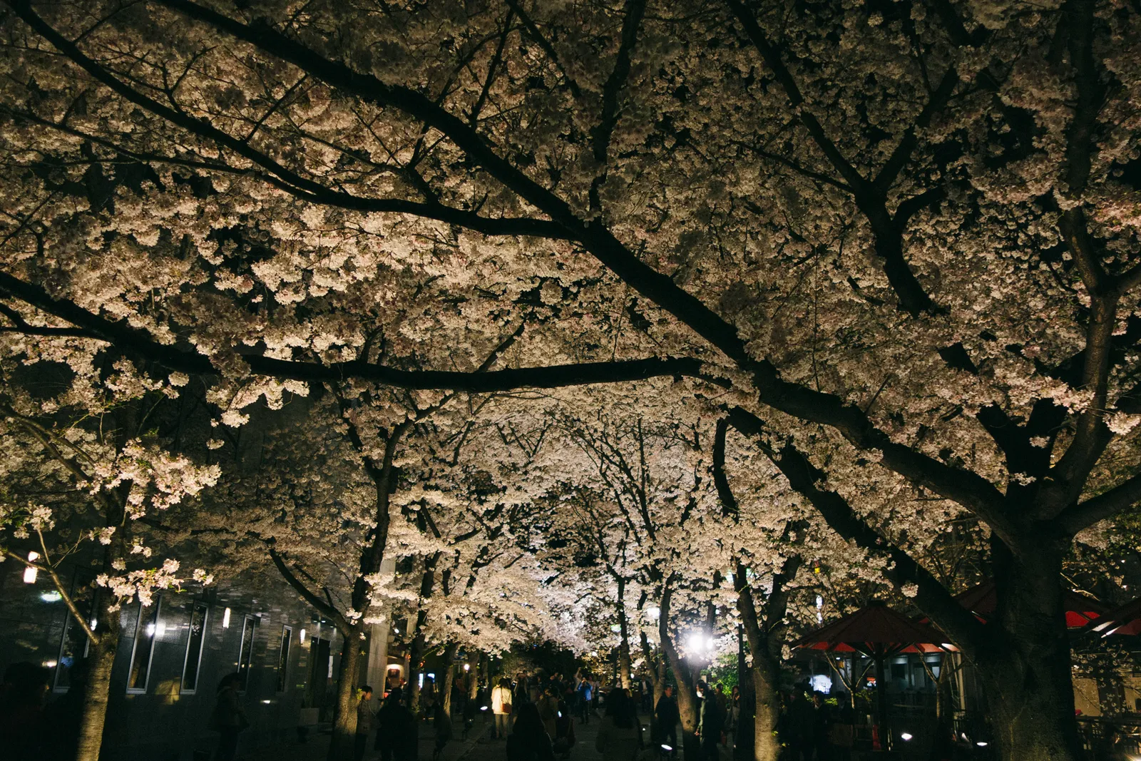 f:id:nmy:20140402223220j:plain f:id:nmy:20140402223220j:plain