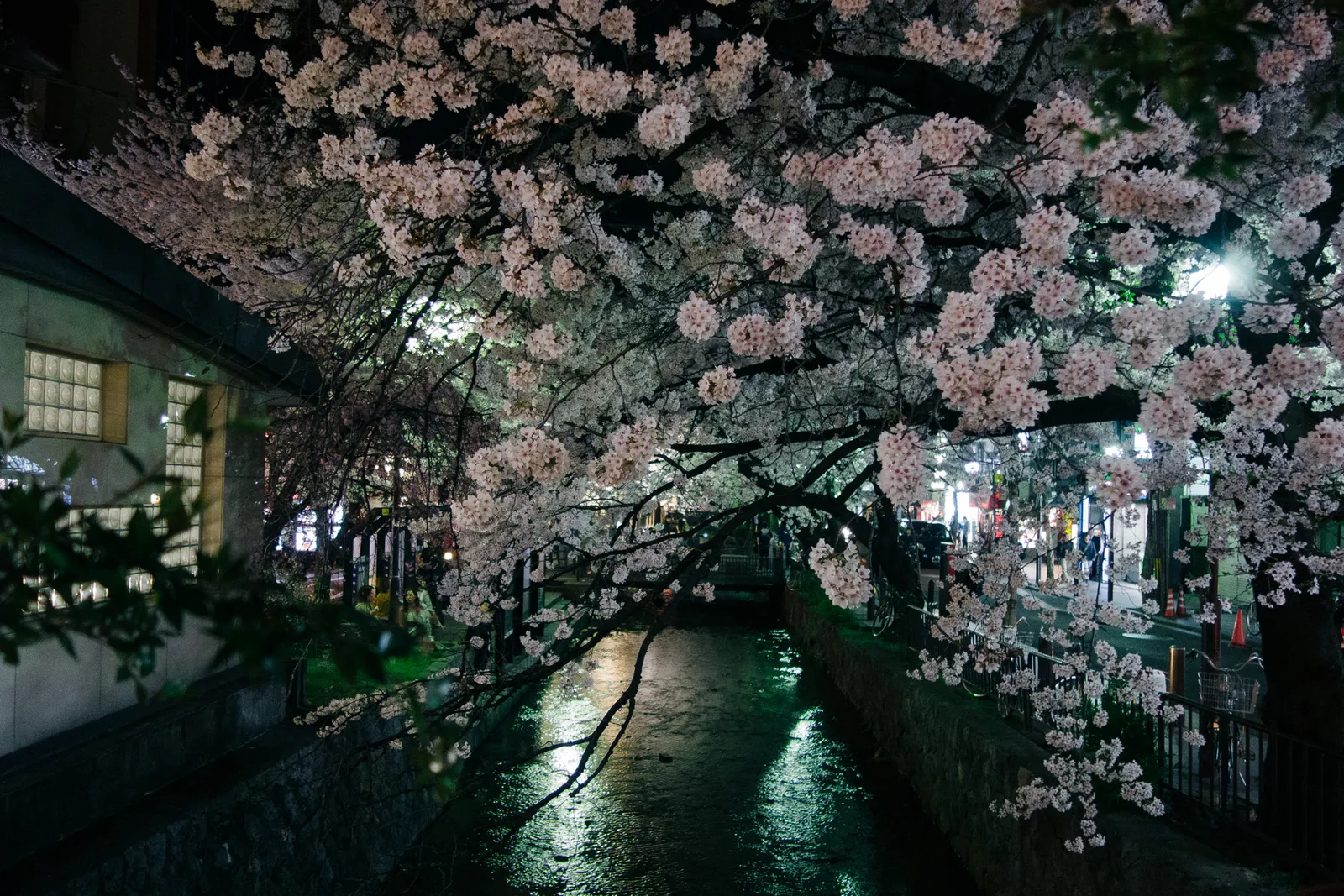 f:id:nmy:20140402223923j:plain f:id:nmy:20140402223923j:plain