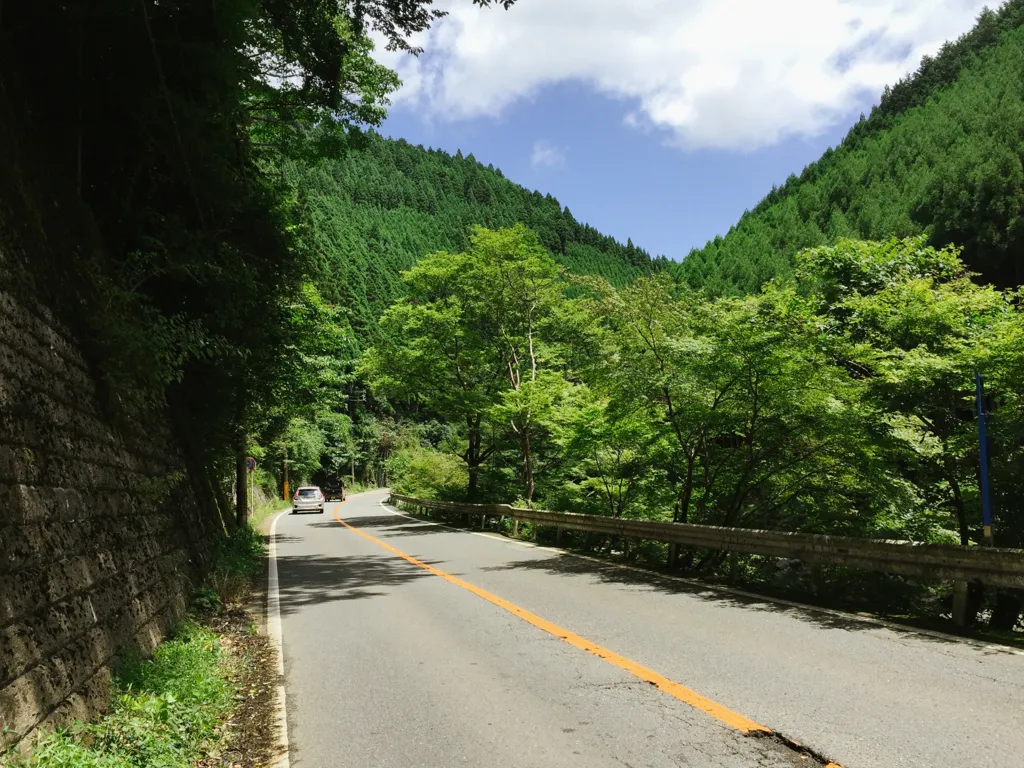 f:id:nmy:20160718105145j:plain f:id:nmy:20160718105145j:plain
