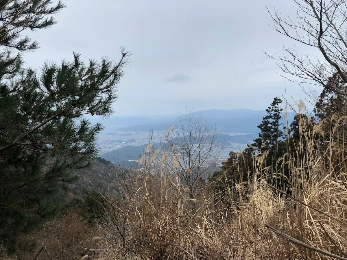 f:id:nmy:20190310101731j:plain