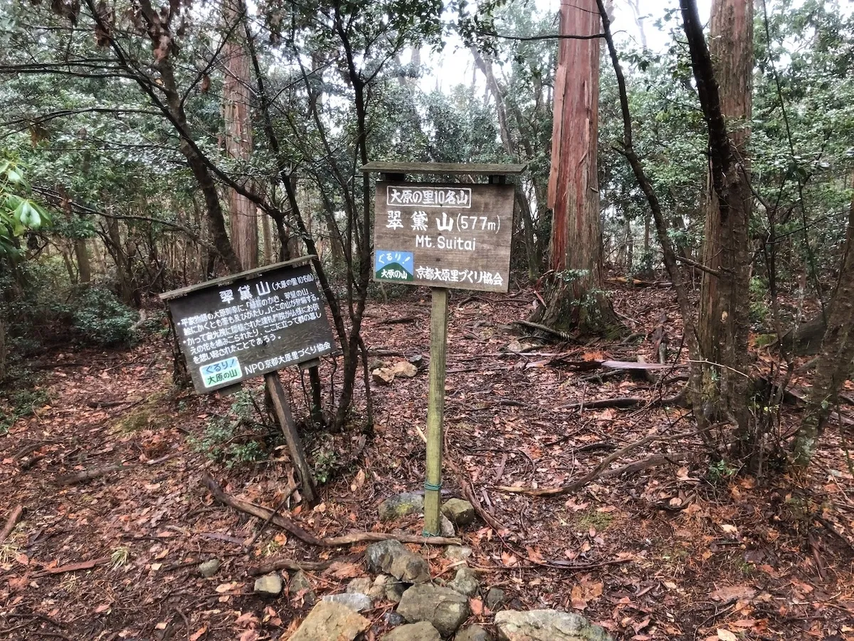 f:id:nmy:20190310131953j:plain
