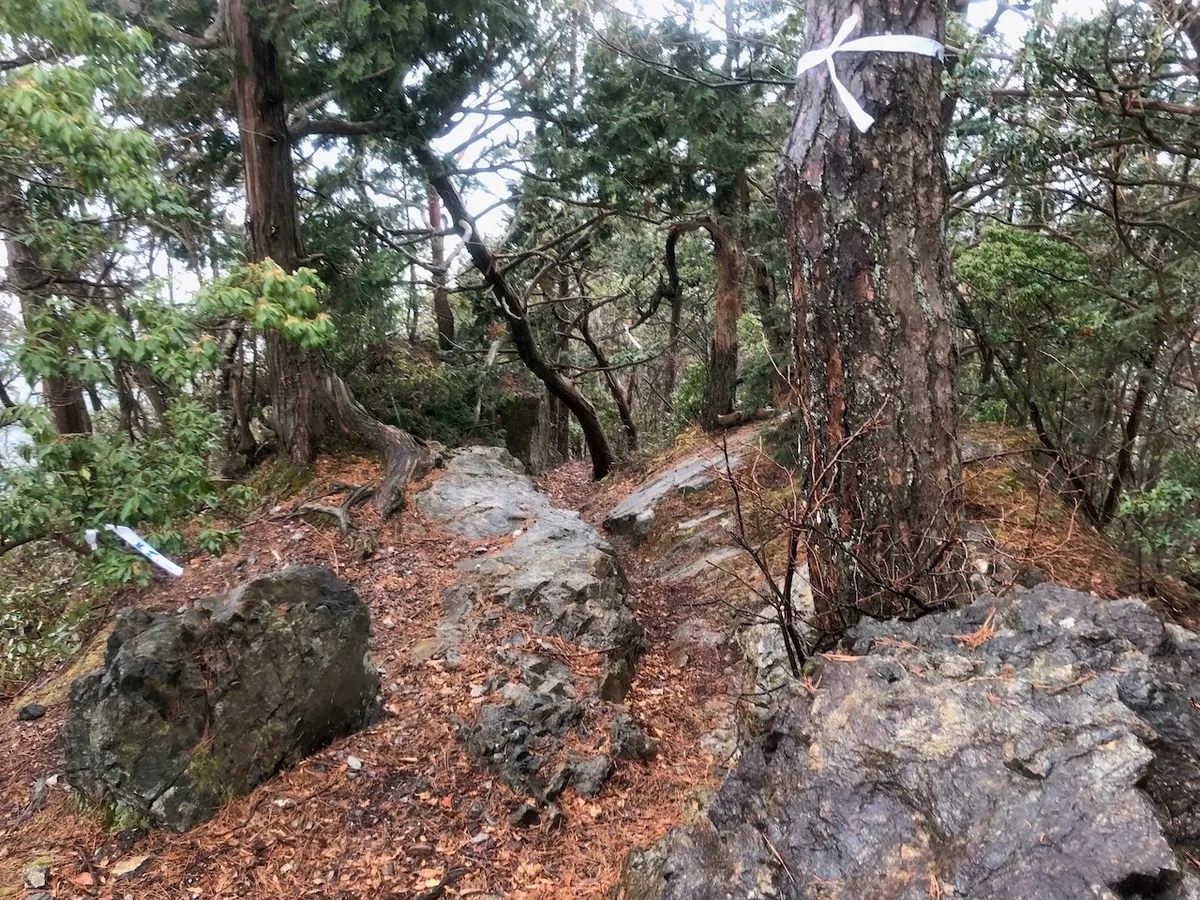 f:id:nmy:20190310133251j:plain
