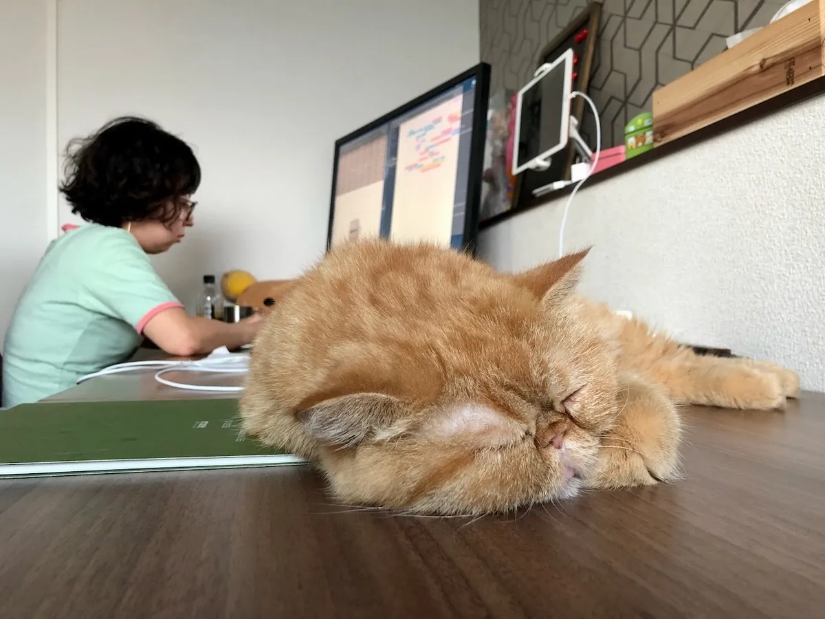 f:id:nmy:20190910173342j:plain