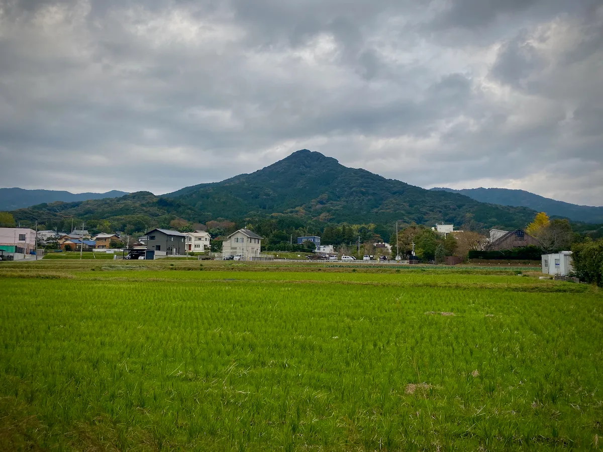 f:id:nmy:20201123081610j:plain