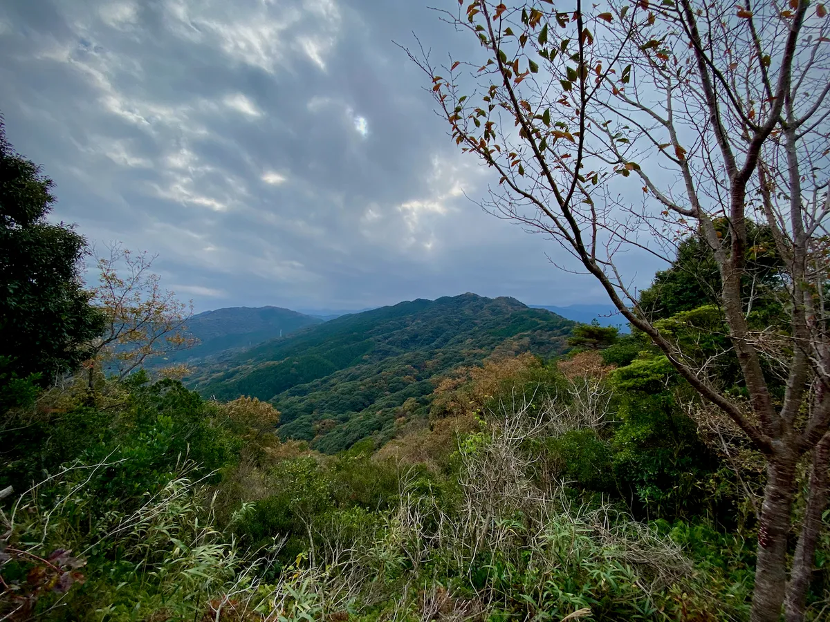 f:id:nmy:20201123102334j:plain